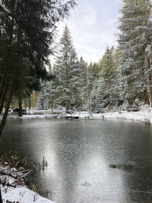 Naturverbundenes Waldgrundstück mit Wasserflächen und Bestandshütte